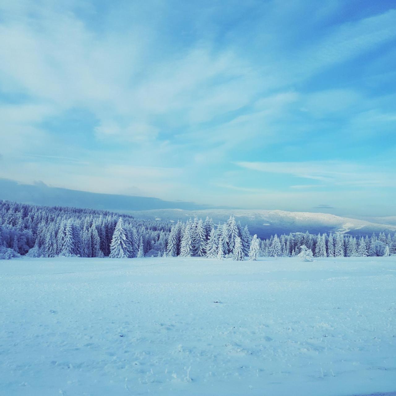 Penzion Horska Kvilda Dış mekan fotoğraf